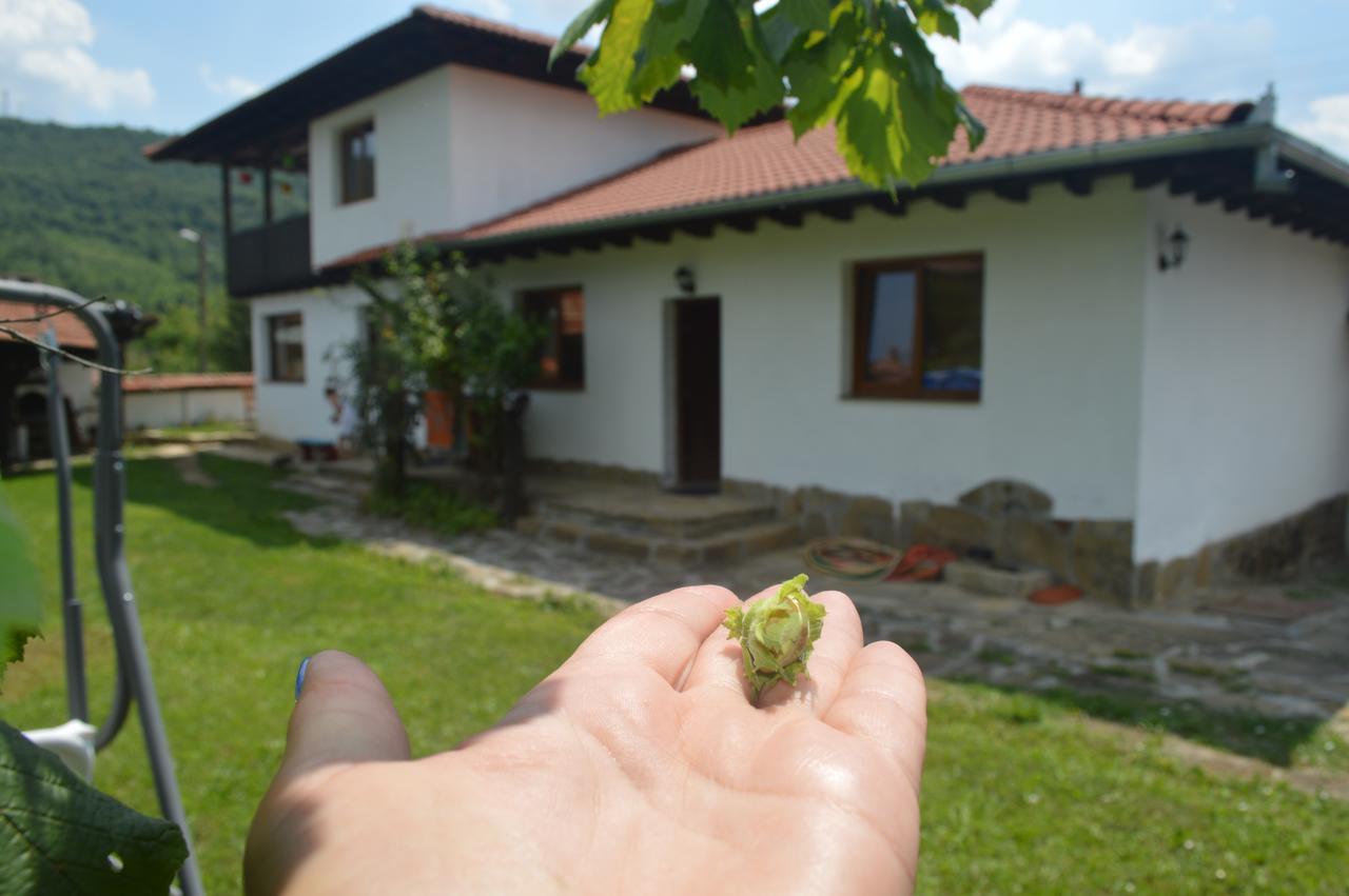Tŭrkasheni Guest House Yana المظهر الخارجي الصورة